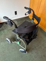 Rollator RL Smart Münster (Westfalen) - Angelmodde Vorschau