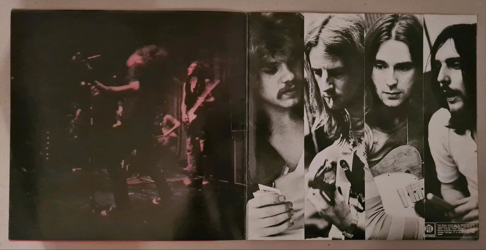 Status Quo: Dog of two Head   Vinyl   LP Gatefold in Nottensdorf