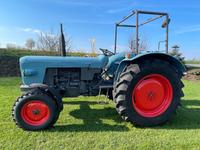 Eicher Mammut II 74 Traktor Oldtimer zu verkaufen Bayern - Windischeschenbach Vorschau