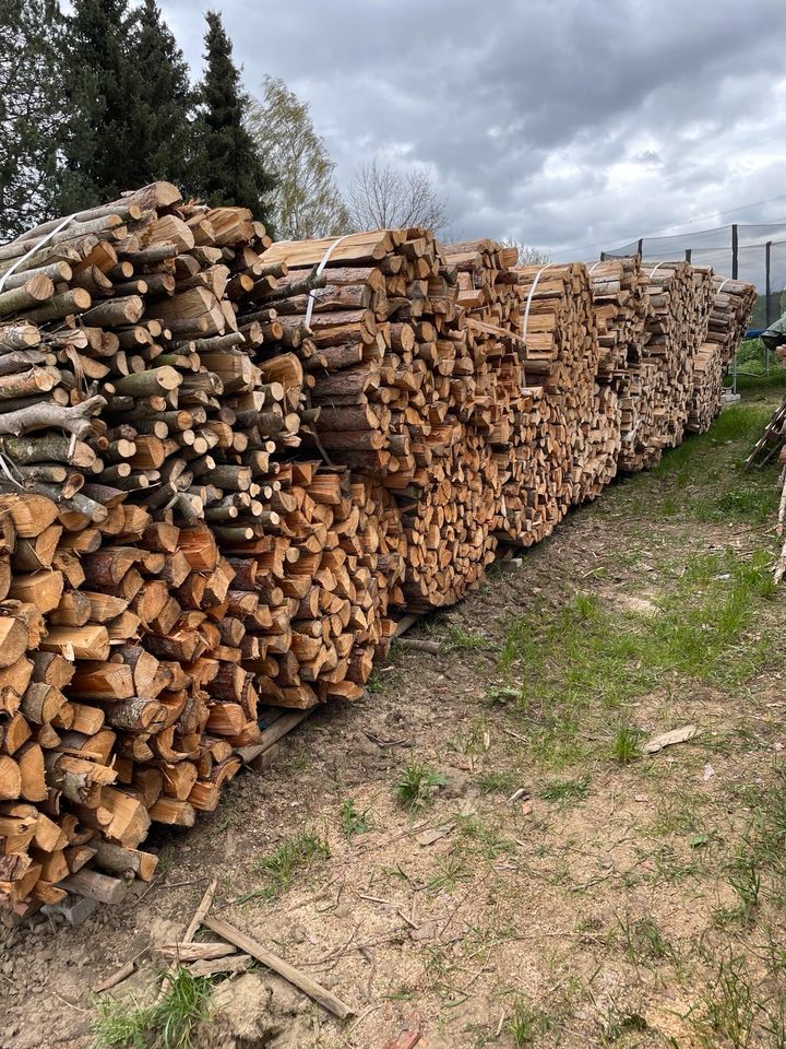 Verkaufe Brennholz gebündelt in Hollenbach