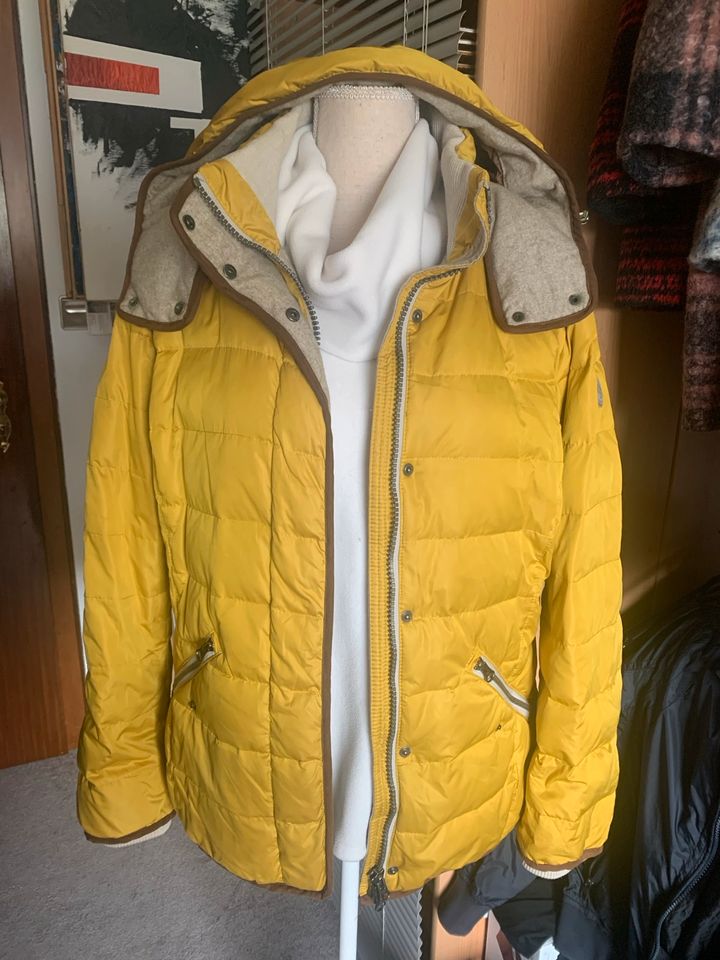 Tolle Jacke ( s. Oliver ) Gr. 42 nur 23 Euro in Geestland