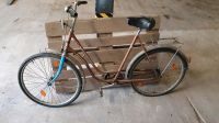 Damenfahrrad DDR Diamant Perfekt 26" Brandenburg - Trebbin Vorschau