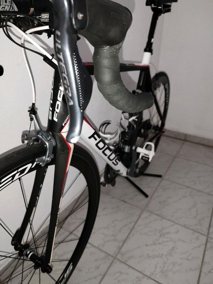 Rennrad Focus Cayo EVO Di2 in Elztal