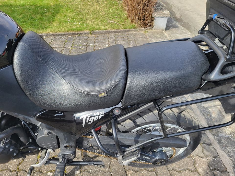 Triumph Tiger 955i in Kronach