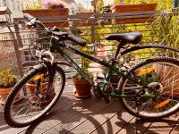 Kinder Mountainbike 13 Zoll grün shimano 21 Gang Alu Rahmen Pankow - Prenzlauer Berg Vorschau
