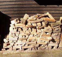 Brennholz/ Kaminholz Eiche und Esche zu verkaufen Niedersachsen - Hatten Vorschau