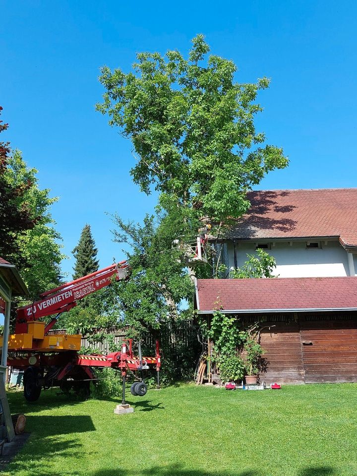 Gartenarbeit, Baumfällung, Heckenschnitt, Baufeldräumung, uvm. in Postau