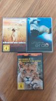 Verschiedene DVDs Mecklenburg-Vorpommern - Greifswald Vorschau