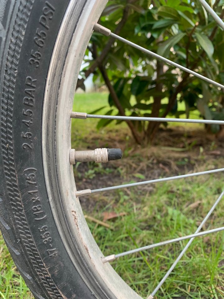 Puky - Kinderfahrrad Z8 rot 18 Zoll in Lübeck