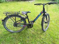 24" Stevens kid Fahrrad Hamburg - Bergedorf Vorschau