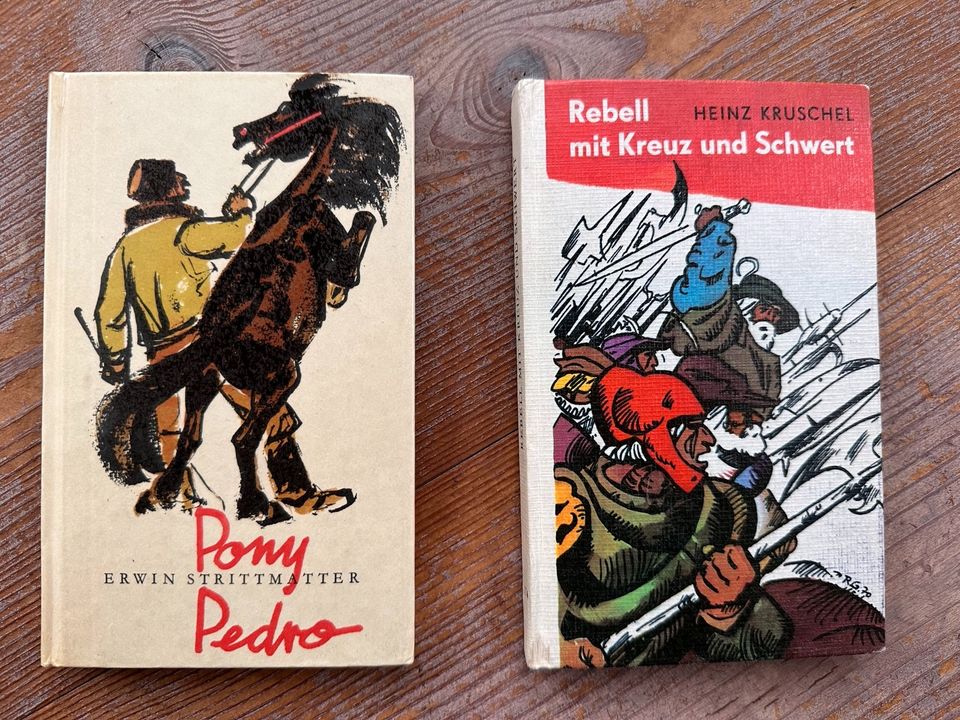 Pony Pedro / Rebell mit Kreuz und Schwert DDR Bücher in Suhl