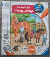 Tiptoi Buch Die Welt der Pferde und Ponys wieso weshalb warum? Herzogtum Lauenburg - Geesthacht Vorschau