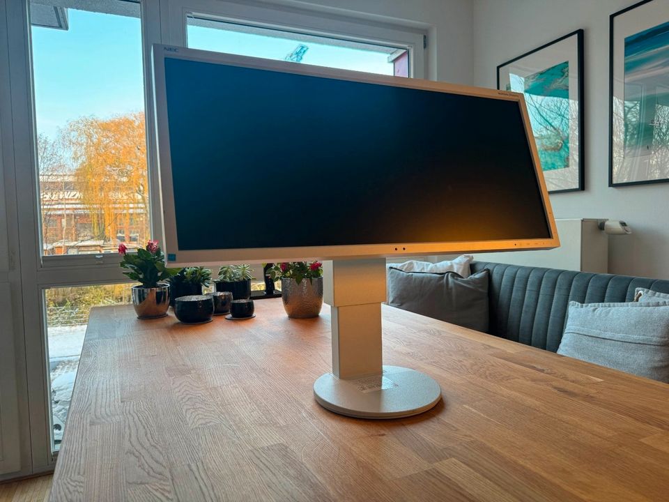 NEC Multisync EA 294MWi LCD Monitor - Sehr guter Zustand in Hamburg