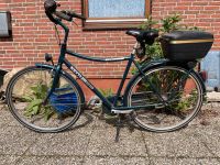 Kettler Alu Rad City Cruiser Fahrrad Schleswig-Holstein - Hohenwestedt Vorschau