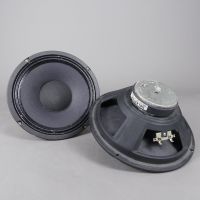 1990er Celestion T4855 Q10 2x 10" Speaker 8Ohm Gitarre Amp Nordrhein-Westfalen - Herne Vorschau