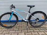 Conway MS 260 RH 38 cm - leichtes Kinder-MTB Baden-Württemberg - Neckargemünd Vorschau