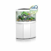 Juwel Aquarium TRIGON 190 mit Unterschrank LED Niedersachsen - Osnabrück Vorschau