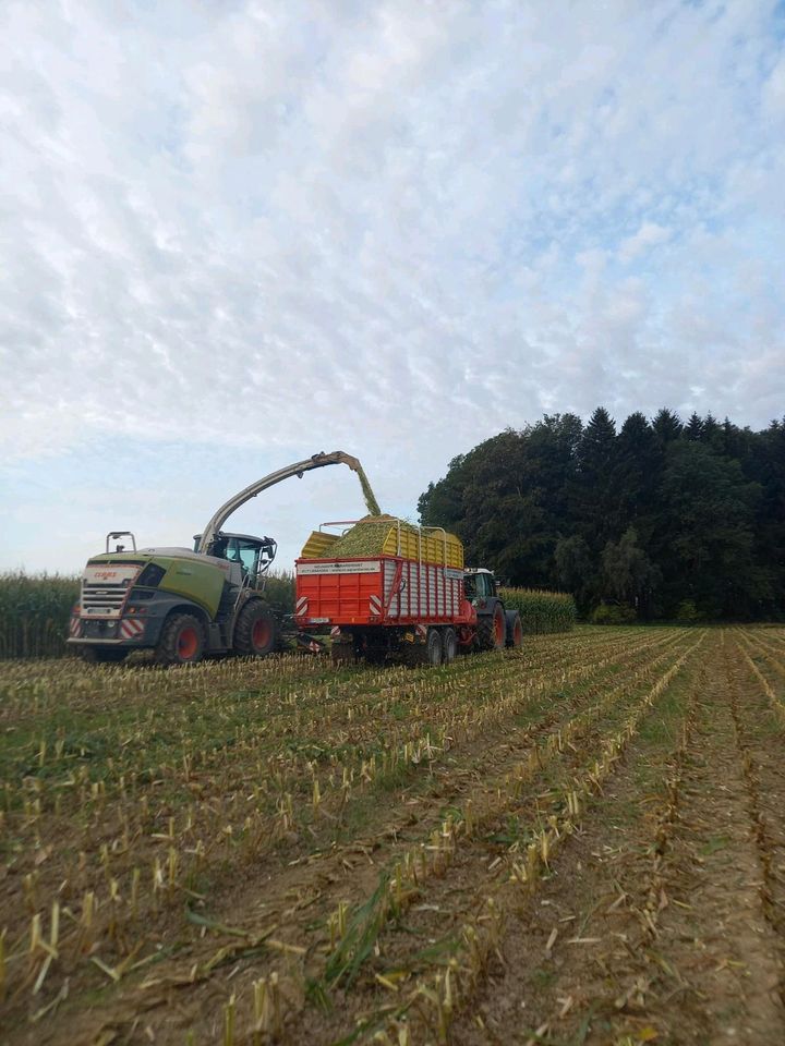 Grünland Acker Ackerland Weide Wiese Bio Gülle Ackerstatus in Kaufbeuren