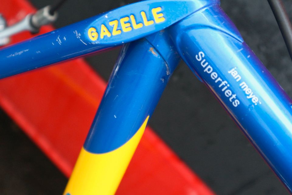 Gazelle Rennrad "Special", 58 cm in Hamburg