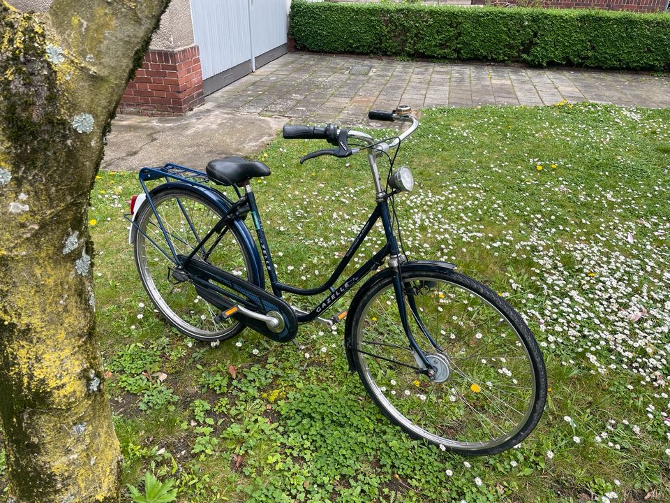 Gazelle Tournee Ambiance Hollandrad Damenrad Fahrrad dunkelblau in Köln