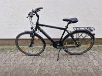 Herren Fahrrad Pegasus 28Zoll Niedersachsen - Braunschweig Vorschau
