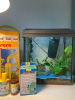 Aquarium 30L München - Bogenhausen Vorschau