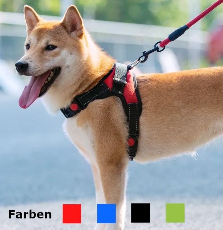 ✅Top✅ Hund Hundegeschirr gepolstert Nylon reflekt versch Gr.☄️ in Leisnig