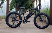 Ebike für Kinder 24 Zoll Fatbike "Monster" 250W - 36V Leipzig - Engelsdorf Vorschau