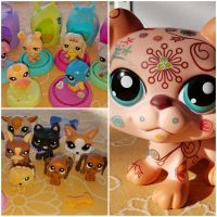 Littlest PetShop® Paket Schleswig-Holstein - Neumünster Vorschau