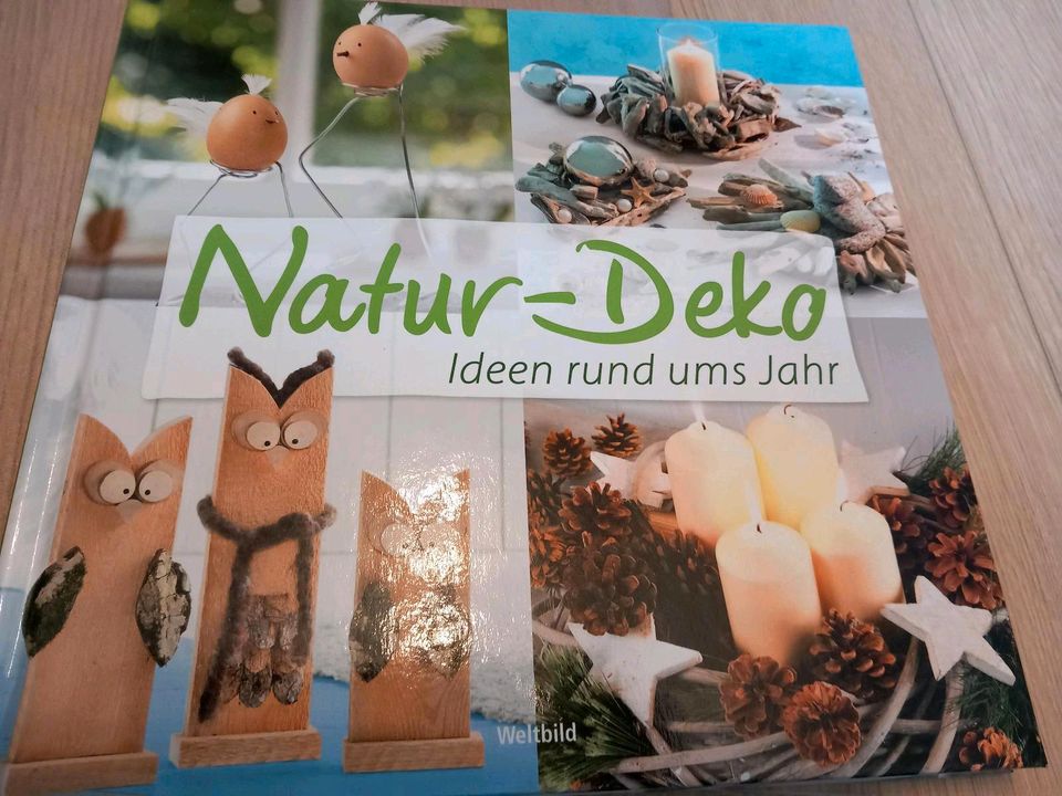 Natur Deko Blumen Pflanzen Weihnachten Frühling Dekoration Bücher in Niebüll