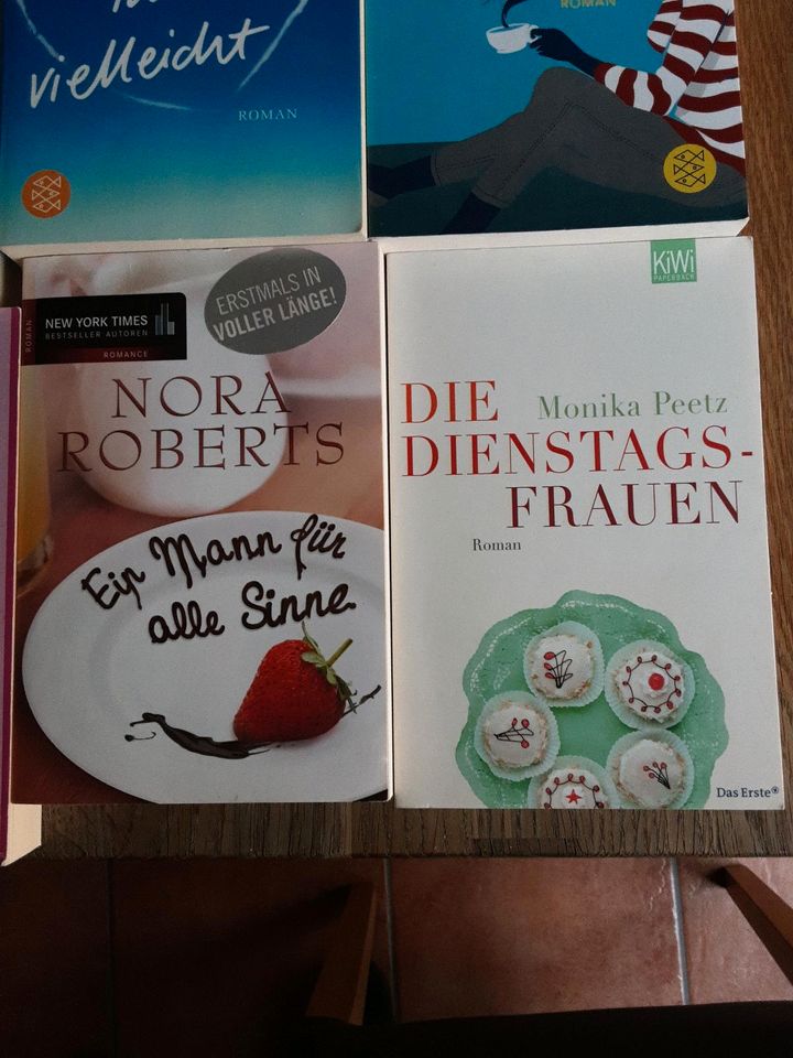 Lesebücher Bücher Jojo Moyes, Cecelia Ahern und andere in Erligheim