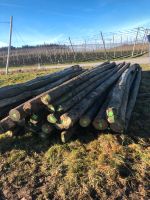 Hopfensäulen Hopfenmasten Holzsäulen Holzmasten Hopfen Holz seina Bayern - Aiglsbach Vorschau