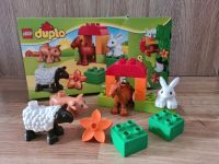 Duplo 10522 Niedersachsen - Braunschweig Vorschau