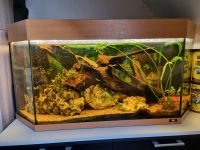 200 Liter Juwel Aquarium Mecklenburg-Vorpommern - Lindetal Vorschau