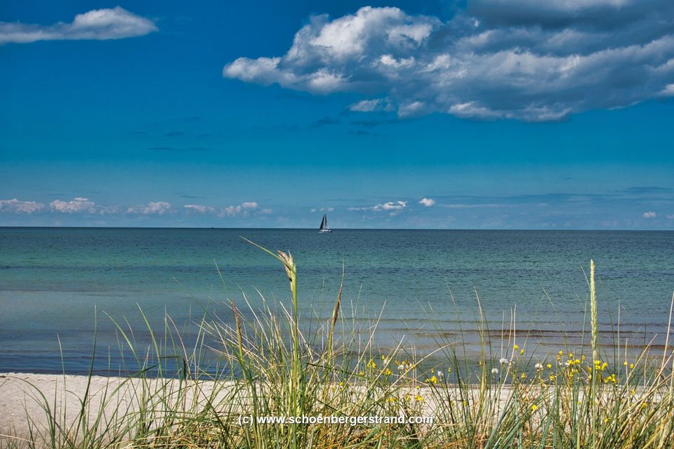 Last Minute Ostsee Schönberger Strand Ostsee  26.05. - 01.06.2024 in Schönberg (Holstein)