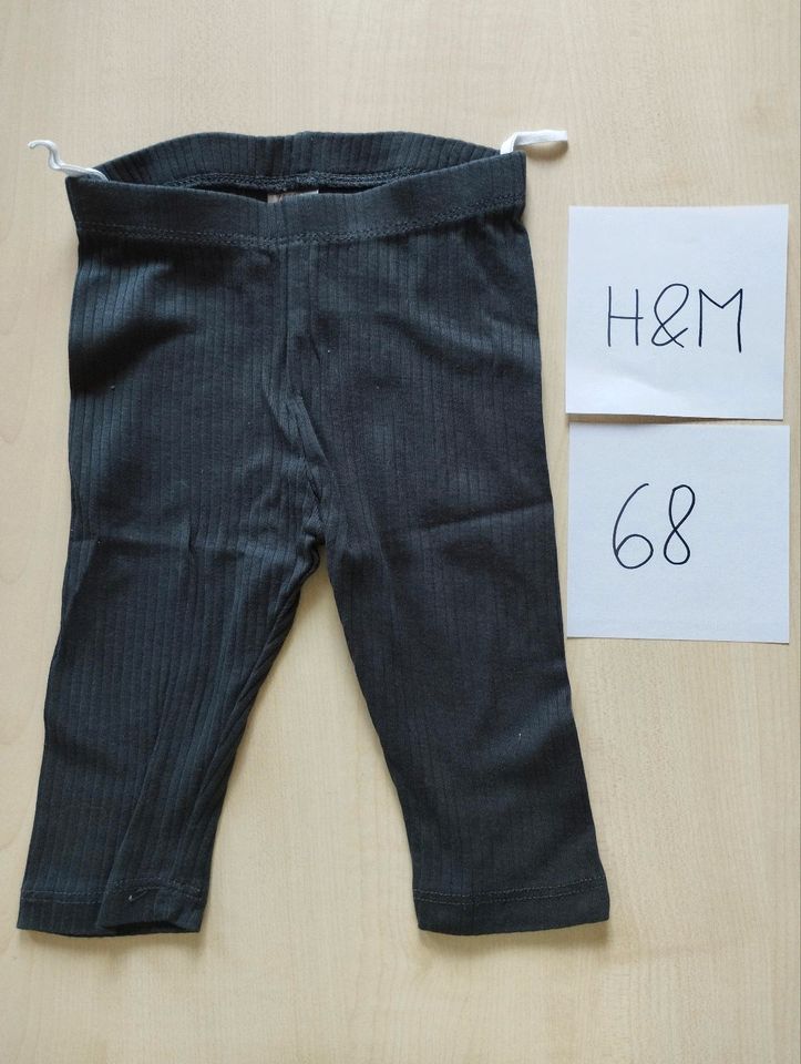 5 Leggings Gr. 68 in Chemnitz