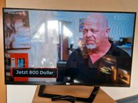 LG Smart TV  47 Zoll 119 cm Niedersachsen - Damme Vorschau