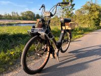 Motobecane Velosolex 3800 Bj. 1977 Solex voll Restauriert TOP Schleswig-Holstein - Hamberge Holstein Vorschau