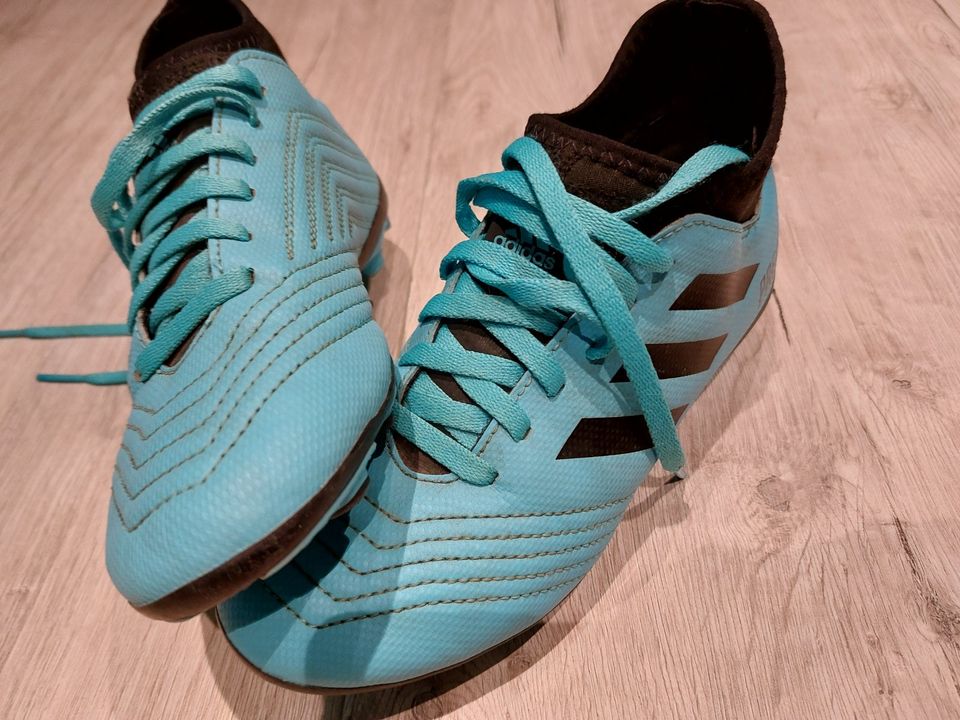 Fussballschuhe  ADIDAS in Geesthacht