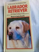 Labrador Retriever, kleine Hundebibliothek Münster (Westfalen) - Roxel Vorschau