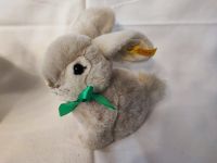 Steiff Hase 20 xm 077241 Bayern - Füssen Vorschau