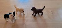 3 süße Schleich Hunde Welpen Nordrhein-Westfalen - Brühl Vorschau