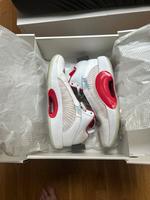 Air Jordan XXXV Brandenburg - Potsdam Vorschau