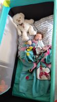 Reborn Baby Puppe mit Geburtsurkunde Saarland - Illingen Vorschau