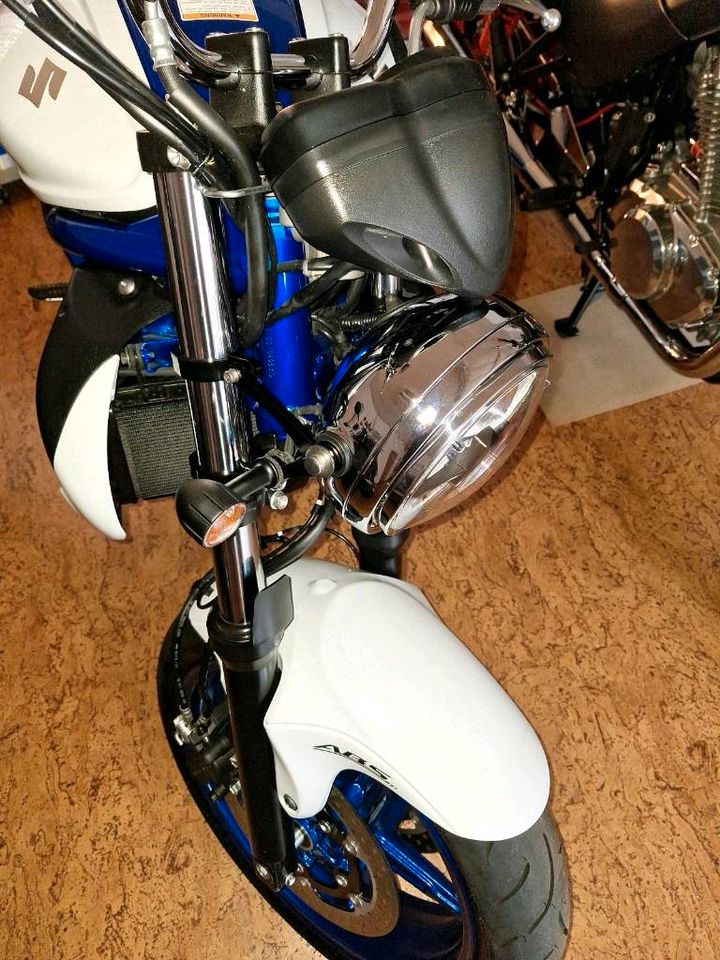 SUZUKI SFV GLADIUS in Ruhland