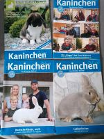4x Kaninchen Zeitung Rheinland-Pfalz - Kaiserslautern Vorschau