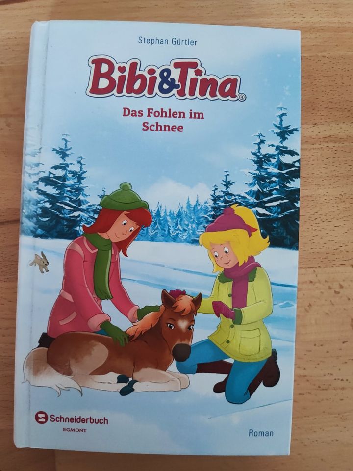 Bibi & Tina  "Fohlen im Schnee" in Hanau