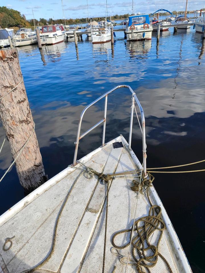 Albin Vega PROJEKT in Rostock Gehlsdorf Segelboote kaufen