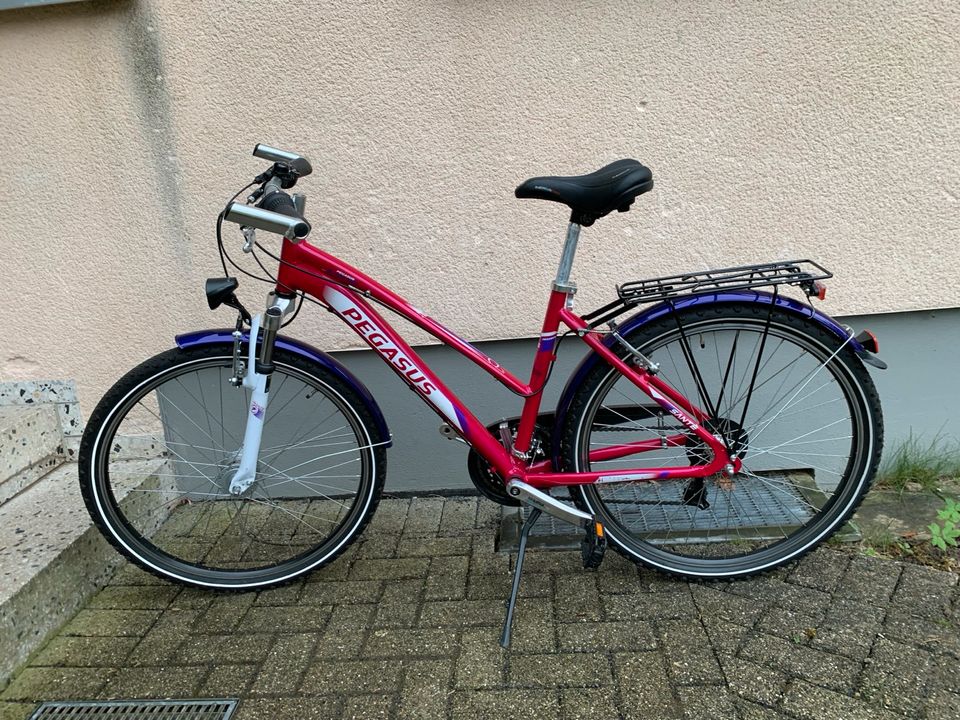 Pegasus 26 Zoll Fahrrad in Kassel