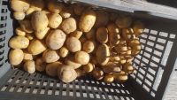 Kartoffelkorb Kartoffelkiste kiste Korb 50 x 30 x 27 Thüringen - Erfurt Vorschau